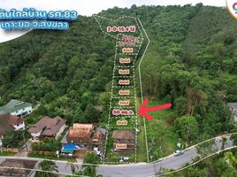  Land for sale in Mueang Songkhla, Songkhla, Ko Yo, Mueang Songkhla