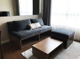 1 Schlafzimmer Appartement zu vermieten im D Condo Nim, Fa Ham, Mueang Chiang Mai, Chiang Mai