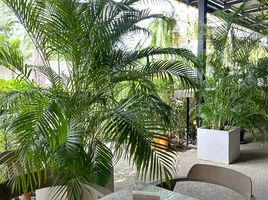 1 Schlafzimmer Einzelhandelsfläche zu vermieten in Choeng Thale, Phuket, Choeng Thale, Thalang