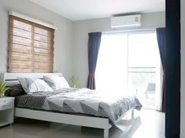 บ้านเดี่ยว 4 ห้องนอน ให้เช่า ในทำเล สันปูเลย, ดอยสะเก็ด, สันปูเลย