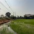  Land for sale in Lat Lum Kaeo, Pathum Thani, Rahaeng, Lat Lum Kaeo