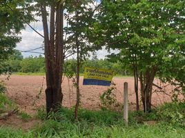  Land for sale in Lamphun, Tha Khum Ngoen, Mae Tha, Lamphun