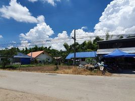  Grundstück zu verkaufen in Mae Rim, Chiang Mai, Mae Raem, Mae Rim