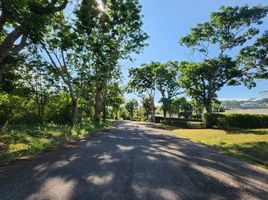  Land for sale in Blue Canyon Country Club, Mai Khao, Mai Khao