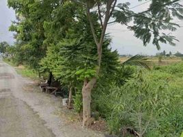  Land for sale in Lahan, Bang Bua Thong, Lahan