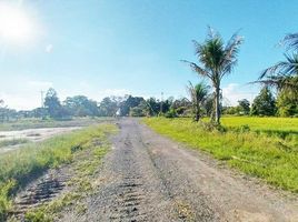  Land for sale in Pathum Thani, Bueng Bon, Nong Suea, Pathum Thani