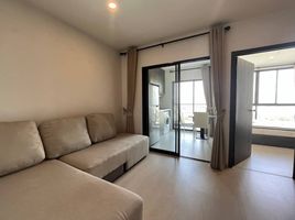 1 Bedroom Condo for rent at Elio Del Nest, Bang Na, Bang Na, Bangkok