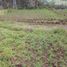  Land for sale in Uyumbicho, Pichincha, Uyumbicho, Mejia, Pichincha