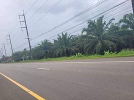  Land for sale in Tak Daet, Mueang Phangnga, Tak Daet