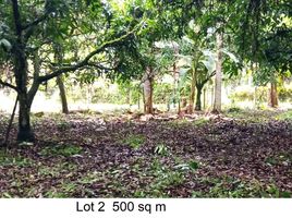  Land for sale in Island Garden Samal City, Davao del Norte, Island Garden Samal City