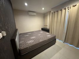 3 Schlafzimmer Haus zu vermieten im The Urbana 2, Mae Hia, Mueang Chiang Mai