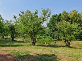  Grundstück zu verkaufen in Mueang Chiang Rai, Chiang Rai, Huai Sak, Mueang Chiang Rai