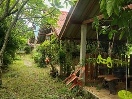 3 Schlafzimmer Villa zu verkaufen in So Phisai, Bueng Kan, So