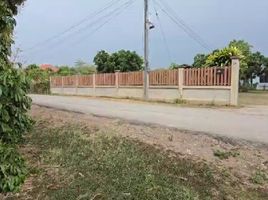  Land for sale in San Pa Tong, Chiang Mai, Thung Satok, San Pa Tong