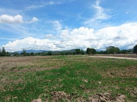  Land for sale in Nakhon Ratchasima, Khanong Phra, Pak Chong, Nakhon Ratchasima