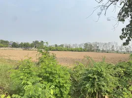  Land for sale in Nai Mueang, Sawankhalok, Nai Mueang