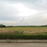  Land for sale in Ban Krot, Bang Pa-In, Ban Krot