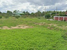  Grundstück zu verkaufen in Mueang Lamphun, Lamphun, Ban Paen