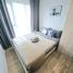 1 Schlafzimmer Wohnung zu vermieten im Modiz Sukhumvit 50, Phra Khanong