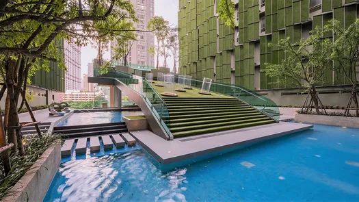 3D Walkthrough of the Communal Pool at Wish Signature Midtown Siam
