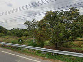 在Mueang Lamphun, 南奔府出售的 土地, Ton Thong, Mueang Lamphun