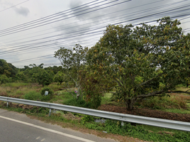 在南奔府出售的 土地, Ton Thong, Mueang Lamphun, 南奔府