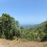  Land for sale in Lipa Noi, Surat Thani, Lipa Noi, Koh Samui, Surat Thani