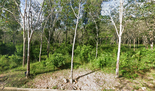 N/A Land for sale in Manang Tayo, Narathiwat 