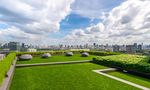 Communal Garden Area at Niche Pride Taopoon-Interchange