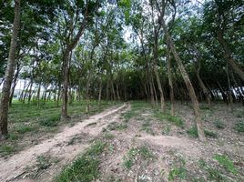  Land for sale in Nam Khok, Mueang Rayong, Nam Khok