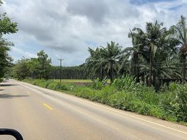  Land for sale in Bo Rai, Trat, Nong Bon, Bo Rai