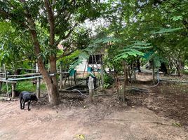  Land for sale in Nikhom Sang Ton-Eng Lam Dom Noi, Sirindhorn, Nikhom Sang Ton-Eng Lam Dom Noi