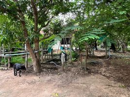  Land for sale in Sirindhorn, Ubon Ratchathani, Nikhom Sang Ton-Eng Lam Dom Noi, Sirindhorn