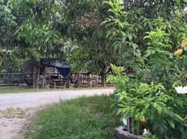 2 Schlafzimmer Reihenhaus zu vermieten in Phangnga, Thai Mueang, Thai Mueang, Phangnga
