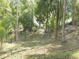  Land for sale at Santikhiri Estate, Na Mueang