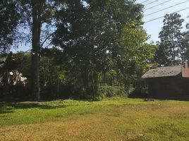  Land for sale in Chiang Mai, Pa Pae, Mae Taeng, Chiang Mai