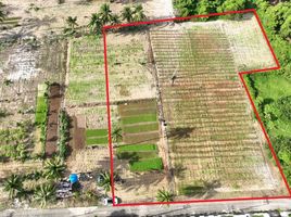  Land for sale in Mai Khao, Phuket, Mai Khao, Thalang