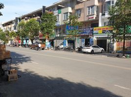 3 Schlafzimmer Villa zu verkaufen in Ha Dong, Hanoi, Phu La