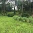  Land for sale in Hang Dong, Chiang Mai, Nam Phrae, Hang Dong