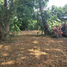  Land for sale in Nong Faek, Saraphi, Nong Faek