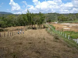  Land for sale in Curiti, Santander, Curiti