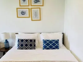 1 Bedroom Condo for rent at THE BASE Central Phuket, Wichit