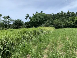  Land for sale in Thep Krasattri, Phuket, Thep Krasattri, Thalang