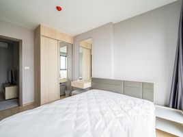 1 Schlafzimmer Wohnung zu vermieten im Ideo O2, Bang Na, Bang Na, Bangkok
