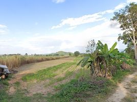  Grundstück zu verkaufen in Doi Luang, Chiang Rai, Pong Noi, Doi Luang