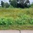 Land for sale in Non Thai Nakhon Ratchasima, Non Thai, Non Thai, Nakhon Ratchasima