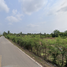  Land for sale in Nakhon Pathom, Khok Phra Chedi, Nakhon Chai Si, Nakhon Pathom