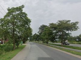  Land for sale in Mueang Mai, Ratchasan, Mueang Mai