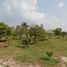  Land for sale in Ban Bueng, Ban Bueng, Ban Bueng