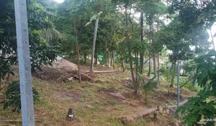 N/A Land for sale in Ko Pha-Ngan, Koh Samui 